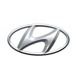 Diagnose Hyundai